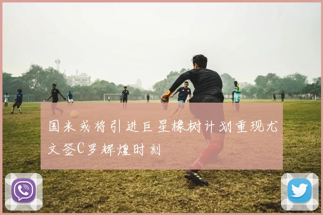 国米或将引进巨星橡树计划重现尤文签C罗辉煌时刻
