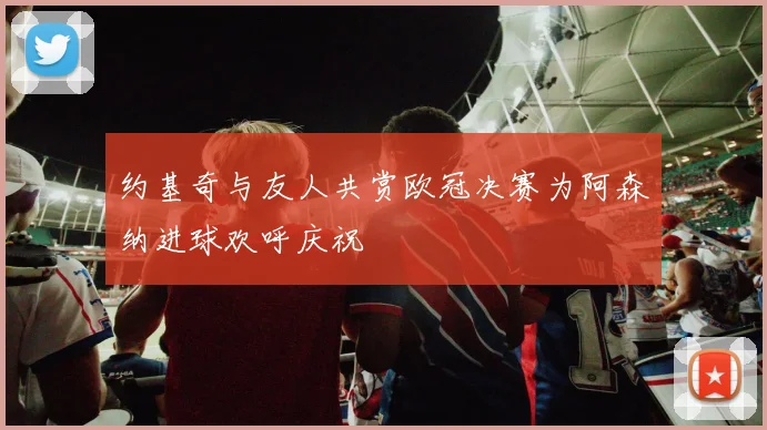 约基奇与友人共赏欧冠决赛为阿森纳进球欢呼庆祝
