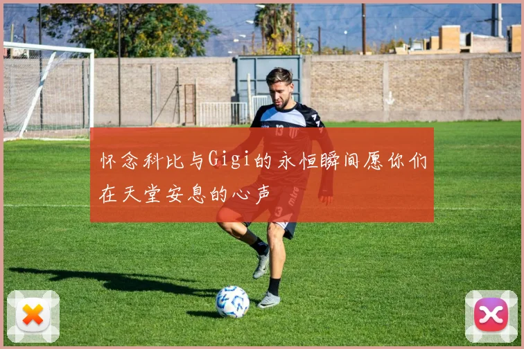怀念科比与Gigi的永恒瞬间愿你们在天堂安息的心声
